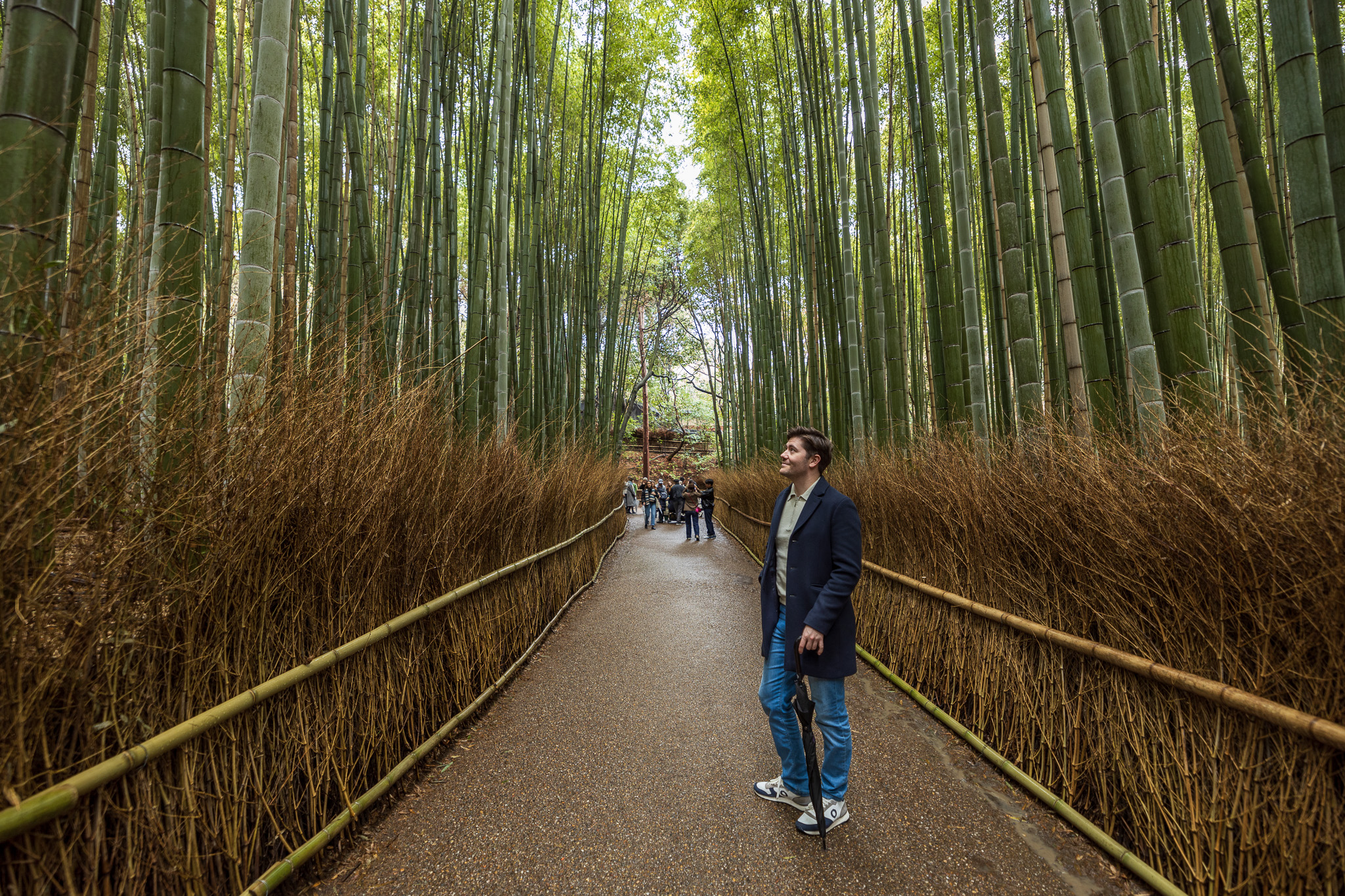 Arashiyama Bamboo Grove
