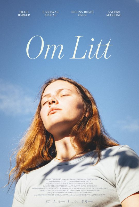 Om Litt_Plakat