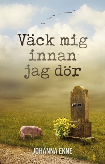Julklappstips – Väck mig innan jag dör