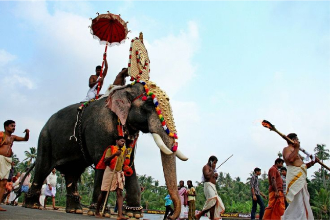 a picture of Kerala's festive season.an elephant walking around with happy humans