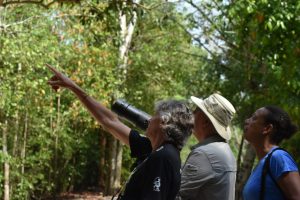 Birding_Mahahual_Ecotours