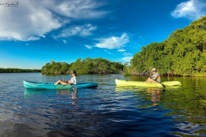 Mahahual_Ecotours_Kayaking_3