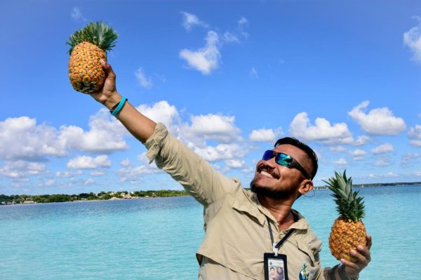 Mahahual_ecotours_Victor_Rosales_pineapple