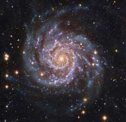 Spiral Galaxy