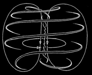 toroidal vortex