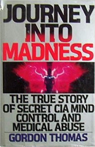 book cover Journey into madness