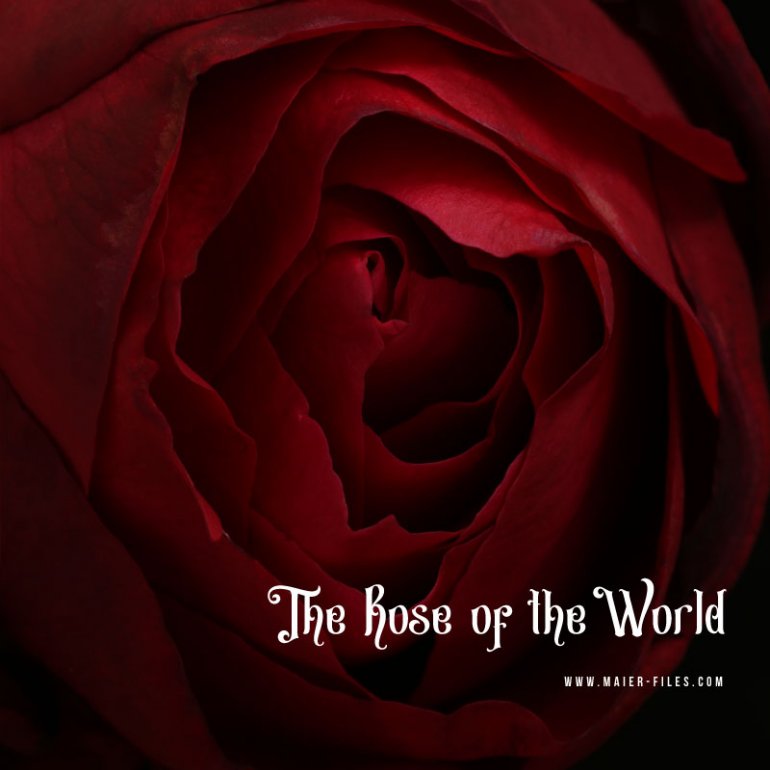 The Rose of the World Symbolism Maier files Series