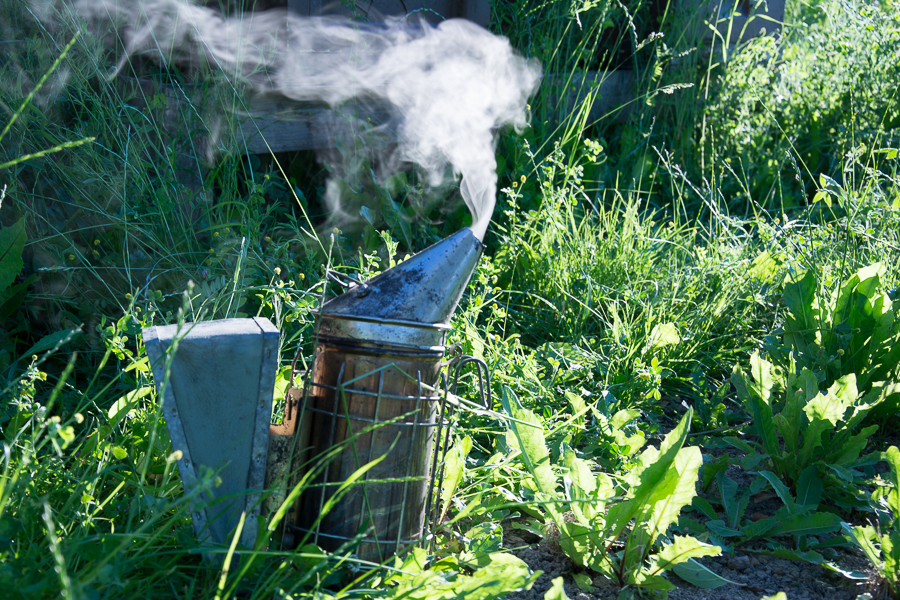 Rökpust biodling på Mälaröarna. Foto: Mats Andersson, Stenhamra www.bubbelbubbel.se