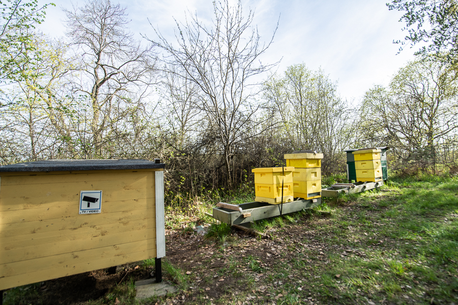 Mälaröarnas biodlarförening, Ekebyhovs slott. Fotograf Mats Andersson Stenhamra, Färingsö, Ekerö, www.bubbelbubbel.,se