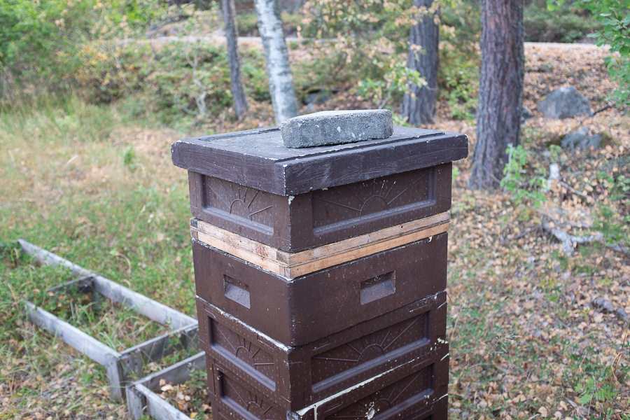 Bitömmarbotten. Fotograf Mats Andersson, Stenhamra Färingsö, Ekerö