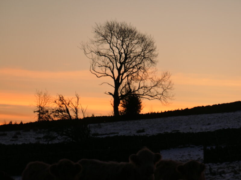 Clear Blue Sky Feb 21st ’23