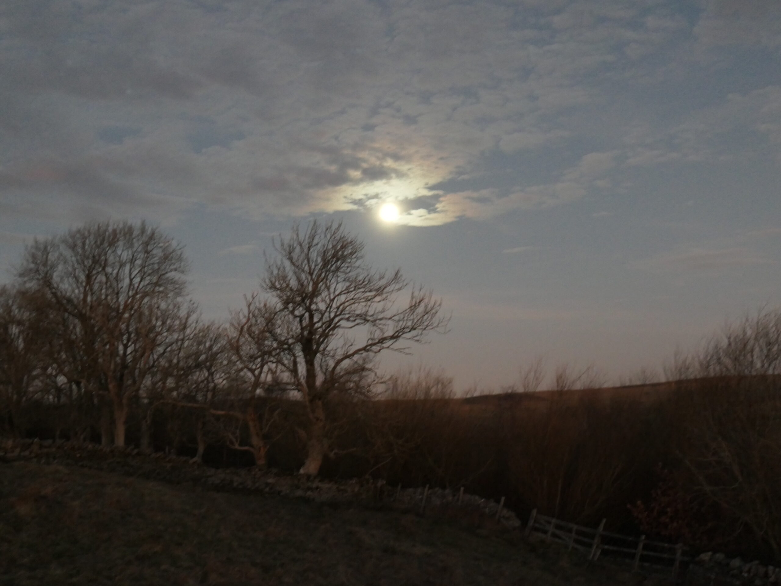 The Lichen Moon – February 9th ’23