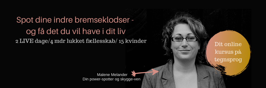 spot dine bremseklodser 900x300 golden 15pladser