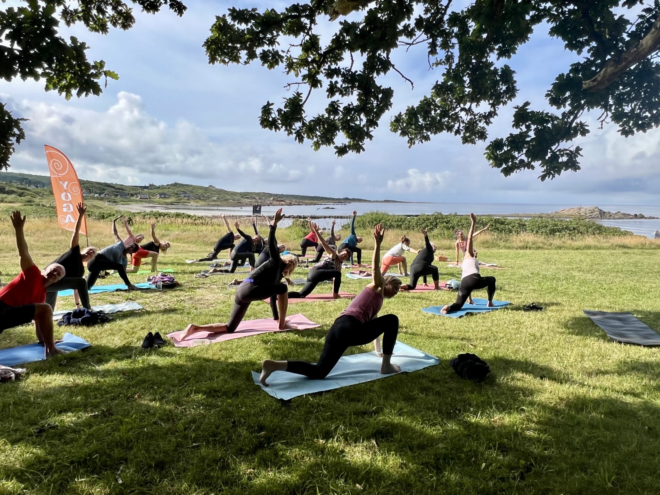 Featured image for “Sommaryoga i Steninge”