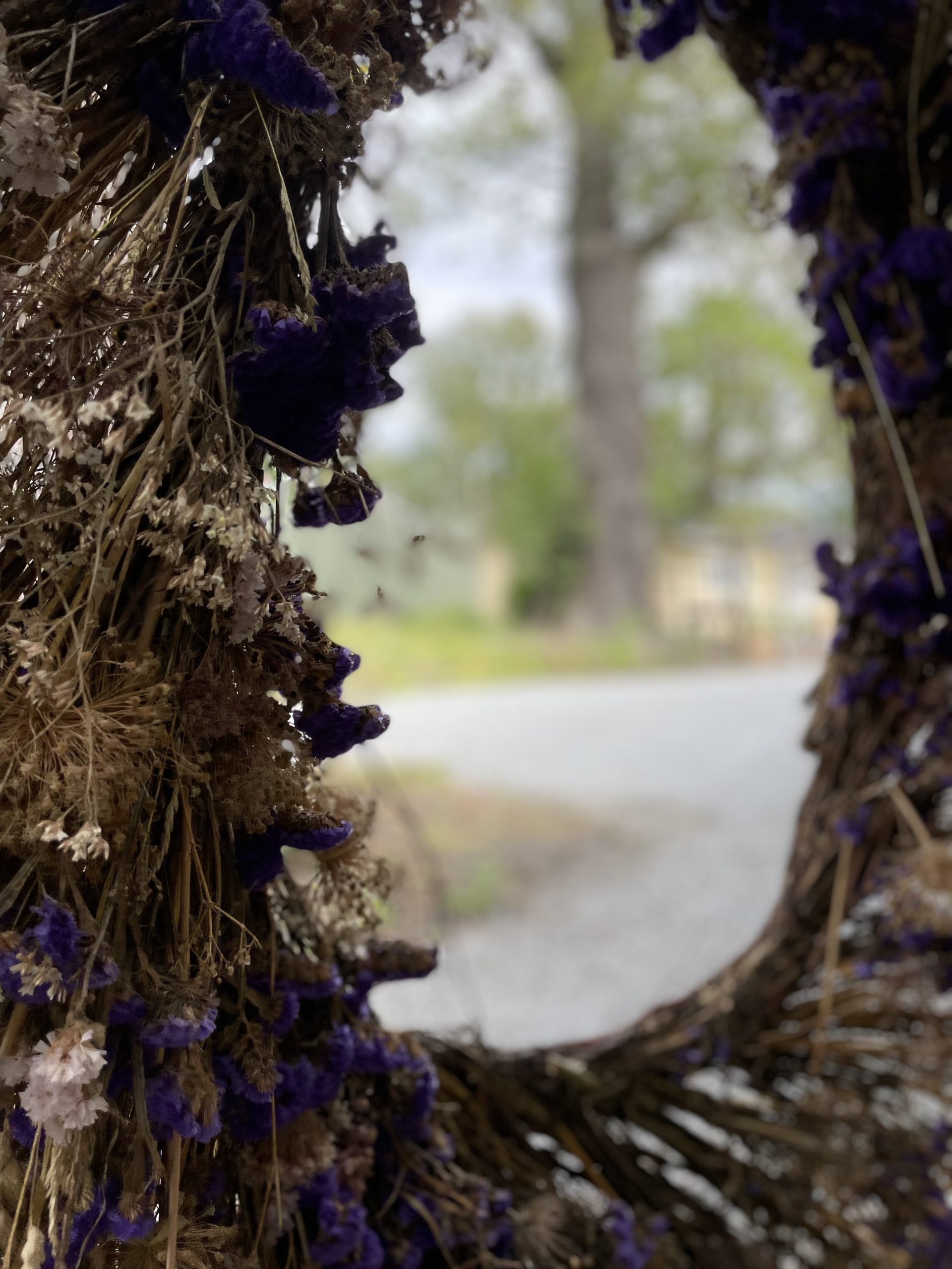 Featured image for “Blogg”