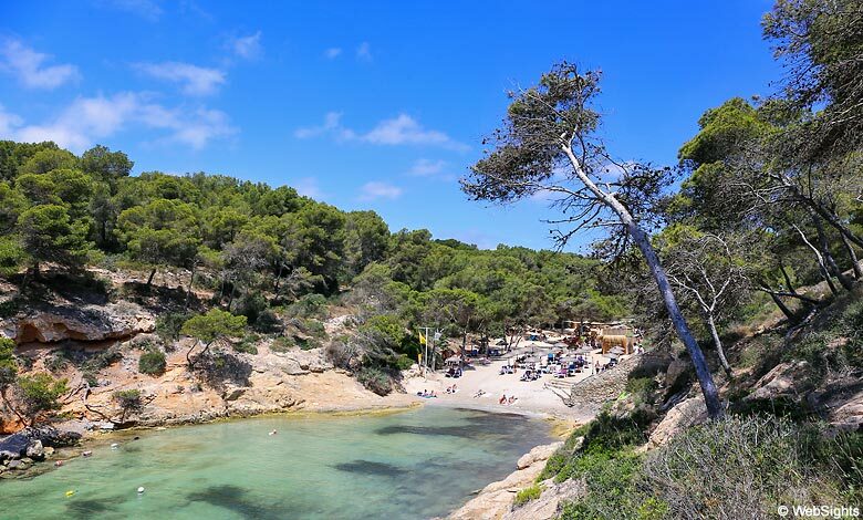 Cala Falcó