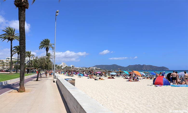 Den flotte strandpromenade med palmer bag stranden i Cala Millor