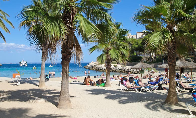 Cala Vinyes Palmen