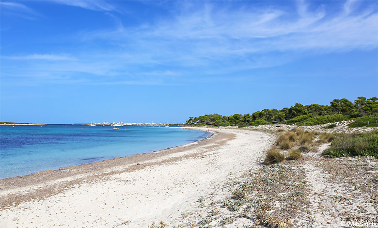 Es Carbó Strand