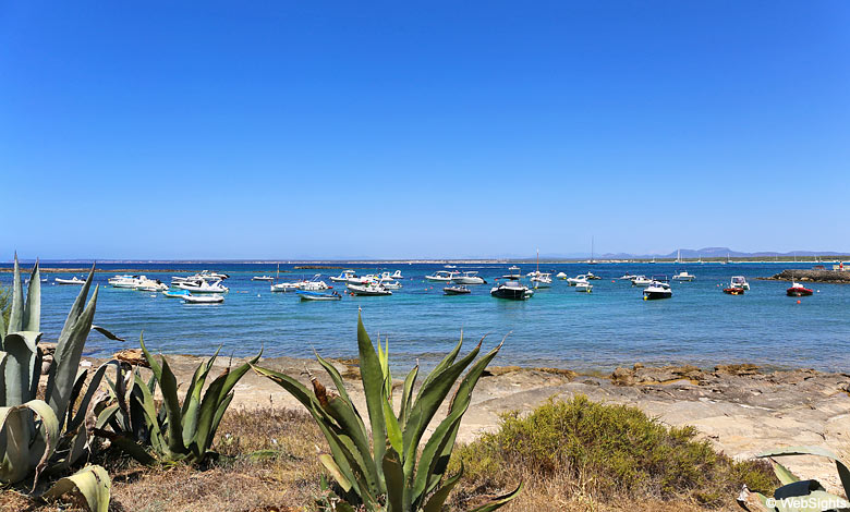 Es Coto Mallorca