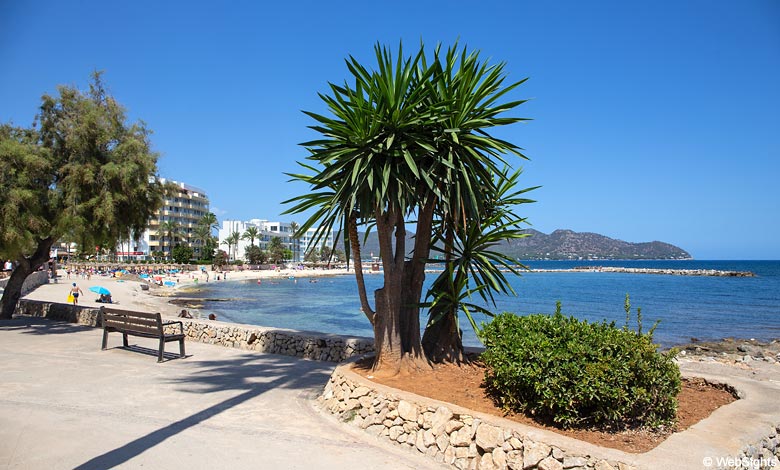 Cala Bona Mallorca