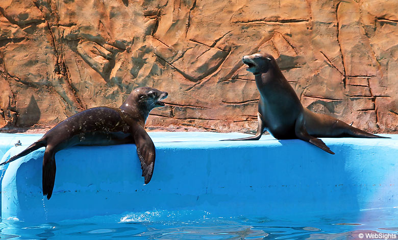 Marineland op Mallorca