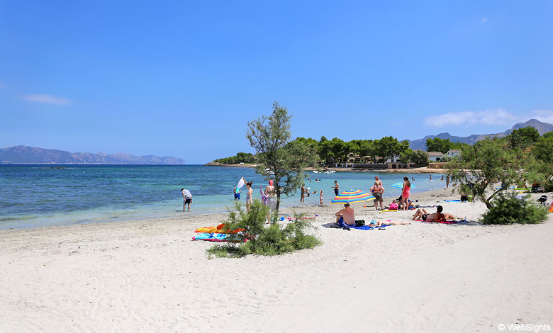 Morer Vermell Mallorca