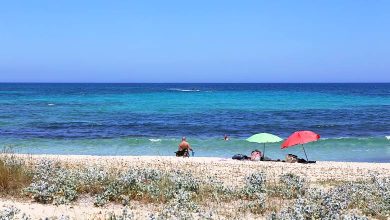 Na Patana er en dejlig naturstrand ved Can Picafort på Mallorca