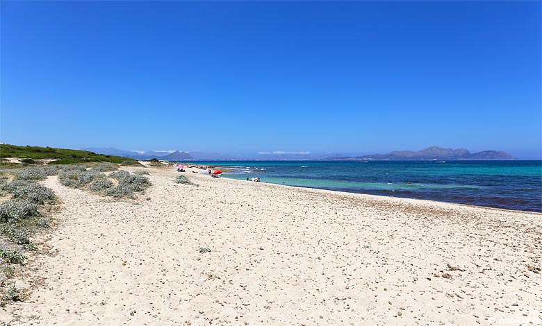 Na Patana is a pristine natural beach on Mallorca