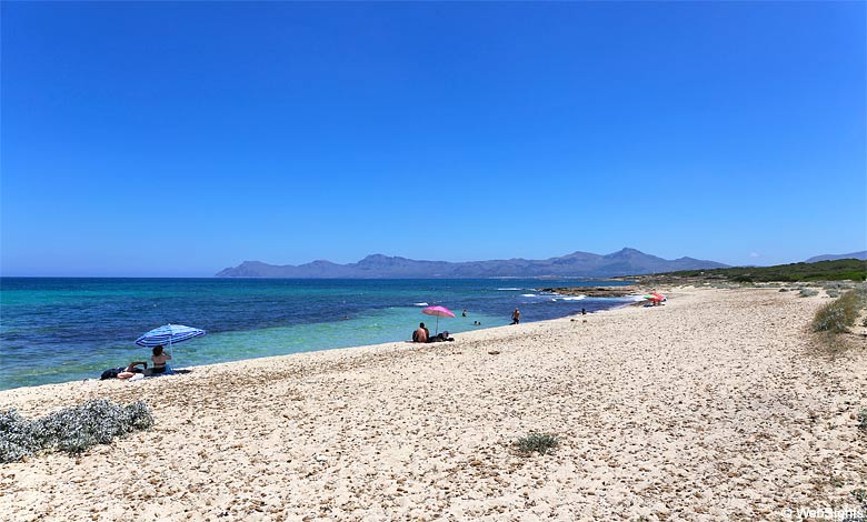 Stranden Na Patana på Mallorca er omgivet af smuk natur
