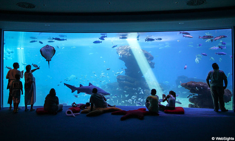 Palma Aquarium op Mallorca