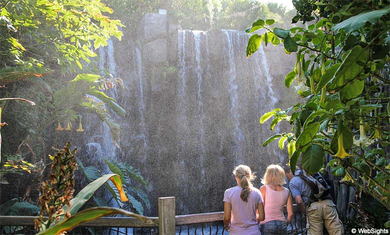 Palma Aquarium Wasserfall