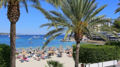 Palma Nova på Mallorca har tre flotte og familievennlige strender