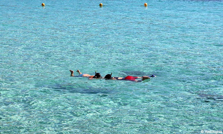 Portals Vells snorkle