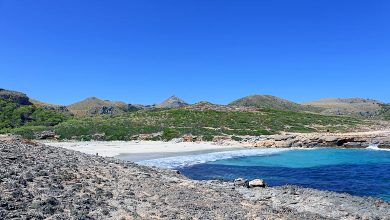 Cala sa Font Celada
