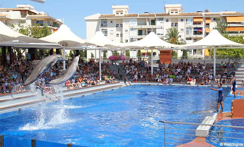 Marineland er en populær dyrepark med Mallorca med delfinshow.
