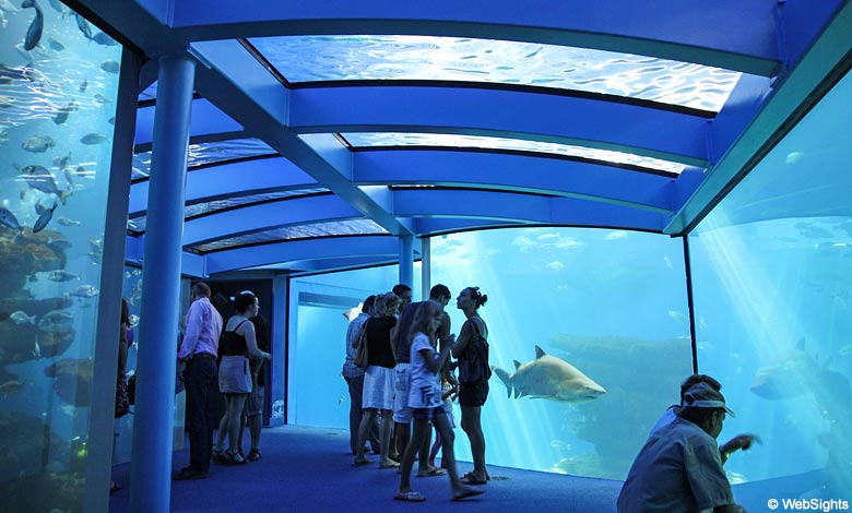 Palma Aquarium hajtunnel