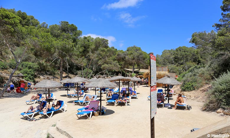 Cala Falco strand