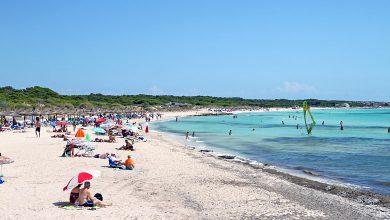 S'Arenal de Sa Rapita