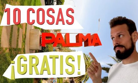 ¡No te pierdas las mejores Actividades de Hoy en Palma de Mallorca!