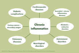 Chronic inflammation and the diseases and disorders that follows.