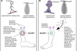 Immune response in grounded versus ungrounded person