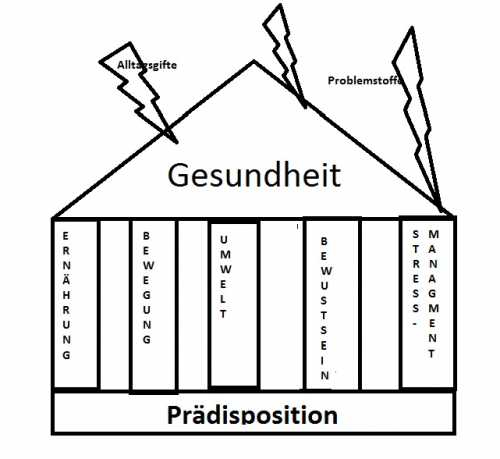 Bild 5 Säulen der Gesundheit