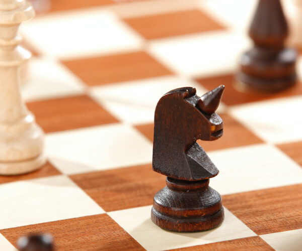 Horse chess