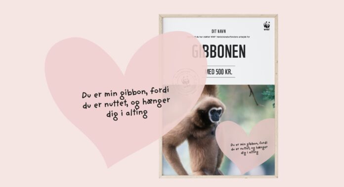 Gaveidé til valentinsdag