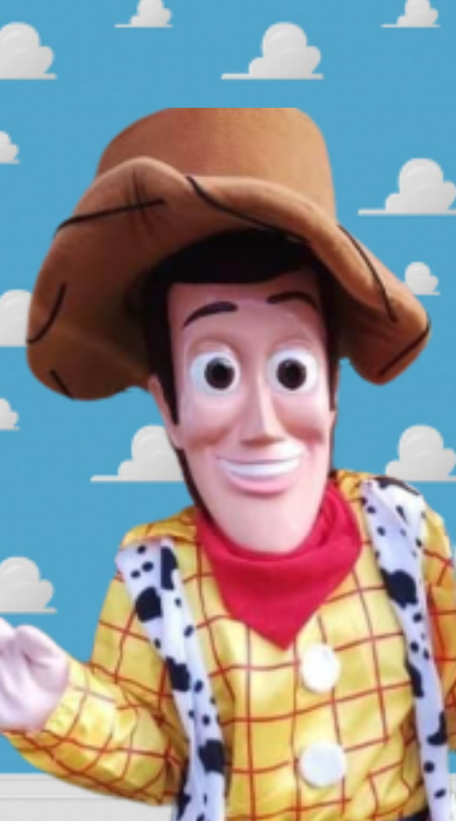 Toy Cowboy AKA Toy Story Woody