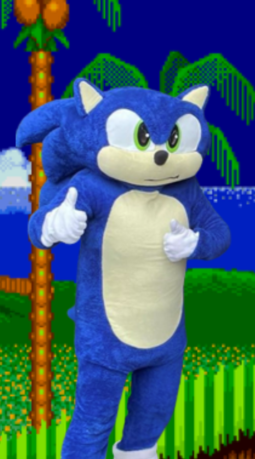 Super Speed Hedgehog AKA Sonic