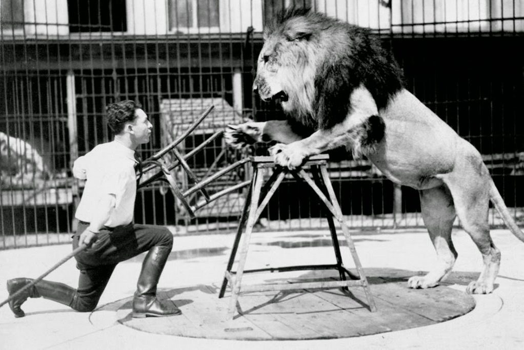 cropped-clyde-beatty-lion-tamer-6.jpg