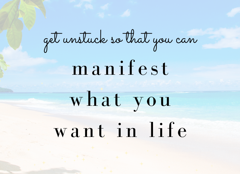 download manifesting the life you want