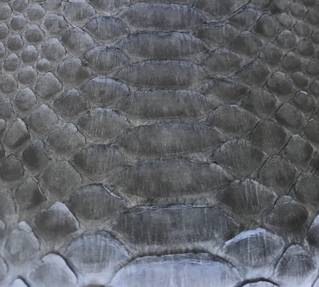 kundalini python skind - grå farve
